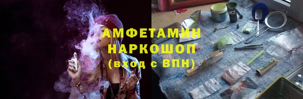 PSILOCYBIN Алзамай