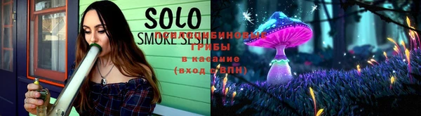PSILOCYBIN Алзамай