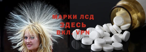 PSILOCYBIN Алзамай