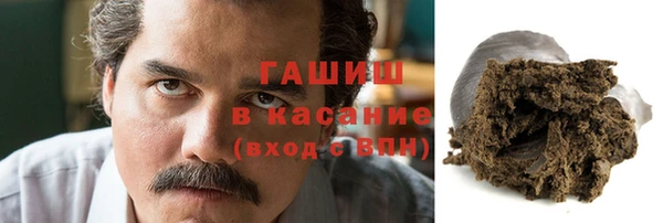 PSILOCYBIN Алзамай
