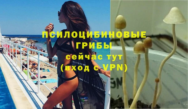 эйфоретик Алексеевка