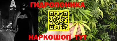 шишки Пушкино