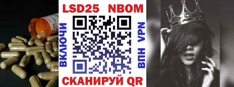 hydra   Новороссийск  LSD-25 экстази кислота 