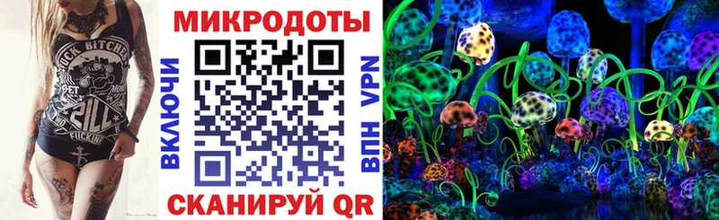 Галлюциногенные грибы мицелий  Новороссийск 