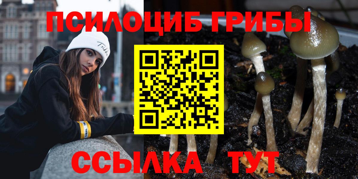 где продают   Вход с VPN  Новороссийск  Псилоцибиновые грибы мухоморы 