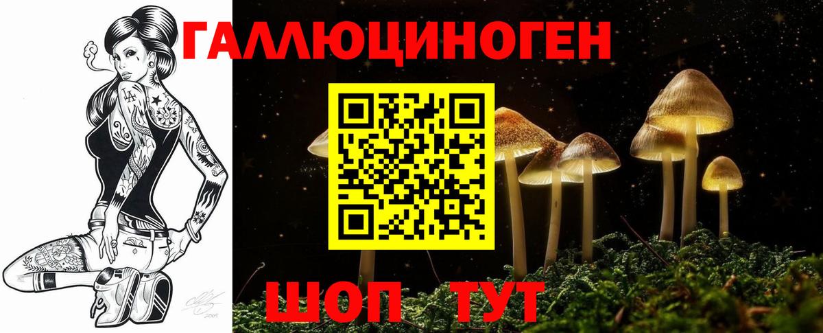 Галлюциногенные грибы Magic Shrooms Новороссийск